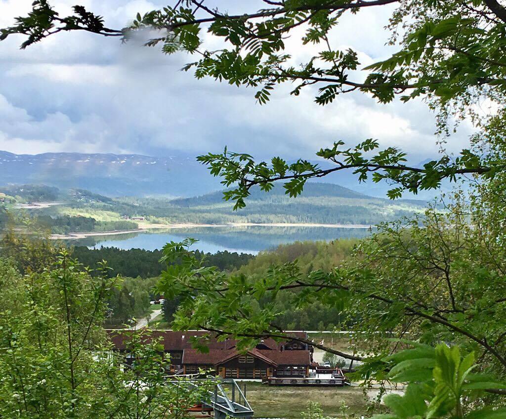 Raulandsfjell Aparthotel ภายนอก รูปภาพ